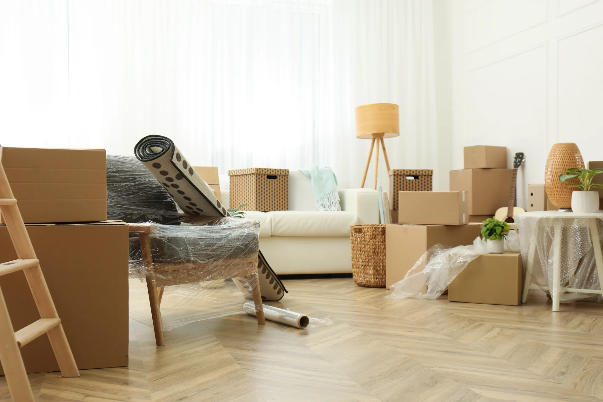 Cardboard boxes, potted plants and household stuff indoors. moving day